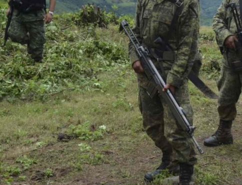 DESCUBRE EJERCITO MEXICANO SEMBRADIOS DE PLANTAS DE COCAINA EN GUERRERO