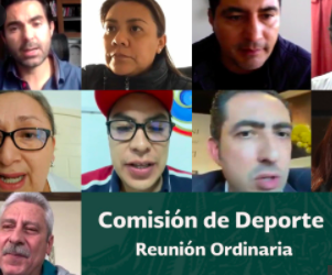 COMISIÓN DEL DEPORTE APRUEBA DICTAMEN EN MATERIA DE TRANSPARENCIA Y DOPAJE
