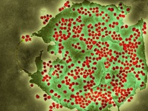 DETECTAN EN REINO UNIDO 6 CASOS DE VARIANTE BRASILEÑA DE COVID-19