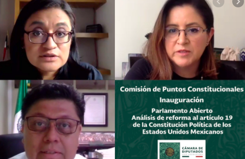 DIPUTADOS BUSCAN PRISIÓN PREVENTIVA PARA DELITOS DE EXTORSIÓN Y AMBIENTALES