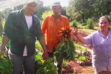 PROPONEN CREAR LA LEY DE AGRICULTURA FAMILIAR