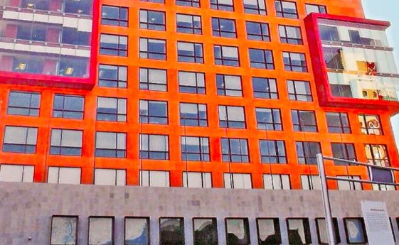 LA SECRETARÍA DE RELACIONES EXTERIORES NO PAGA A BECARIOS DESDE ENERO