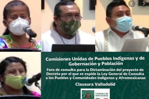 CONCLUYE FORO SOBRE COMUNIDADES INDÍGENAS Y AFROMEXICANAS