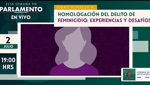 LA CÁMARA DE DIPUTADOS APRUEBA HOMOLOGACIÓN DEL DELITO DE FEMINICIDIO