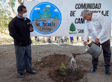 SEMBRANDO VIDA AYUDA AL MEDIO AMBIENTE Y BENEFICIA A CAMPESINOS