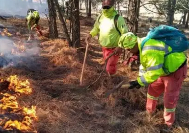 CONTROLAN EN UN 40% INCENDIO FORESTAL EN COAHUILA