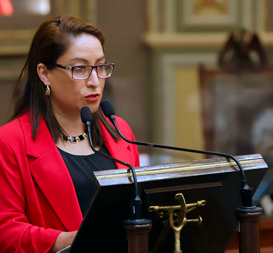PROPONEN DIPUTADAS CONSULTAR A LOS HOMBRES SOBRE DESPENALIZACIÓN DEL ABORTO