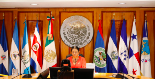PRESENTAN ESTRATEGIA LEGISLATIVA PARA RECUPERACIÓN DE LA PANDEMIA POR COVID-19