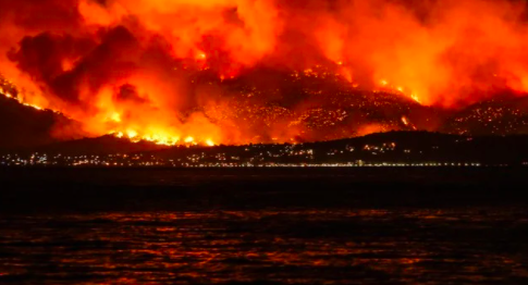MILES DE PERSONAS HUYEN DEL FUEGO EN ZONA BOSCOSA DE GRECIA