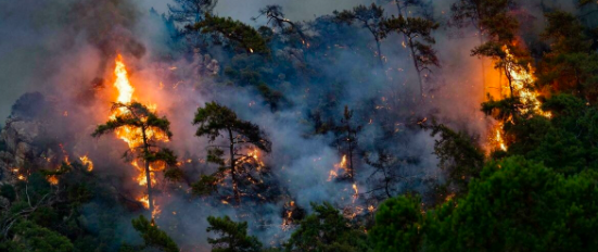 GRAVE ADVERTENCIA DE LA ONU SOBRE CAMBIO CLIMÁTICO: EL MUNDO ESTÁ EN ‘CÓDIGO ROJO´