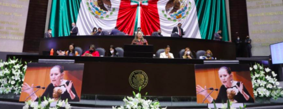 RINDE CÁMARA DE DIPUTADOS HOMENAJE LUCTUOSO A MARÍA ELENA CHAPA