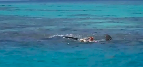 TIBURONES DEVORAN E IMPIDEN RESCATE DE UN CADÁVER EN YUCATÁN