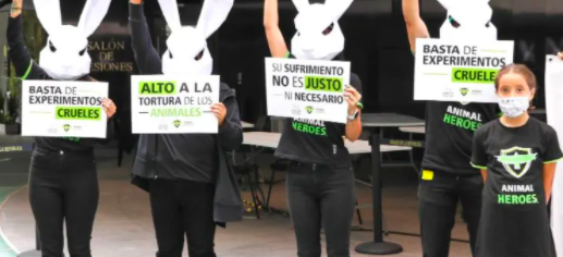 SENADO APRUEBA LEY QUE PROHIBE USO DE ANIMALES EN PRUEBAS DE COSMÉTICOS