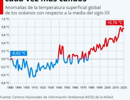 ALERTA MUNDIAL POR AUMENTO CONSTANTE DE TEMPERATURA EN LOS MARES