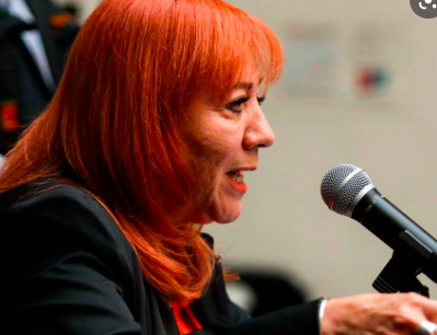 LA TITULAR DE LA CNDH PRESENTARÁ ANTE COMISIÓN PERMANENTE INFORME ANUAL
