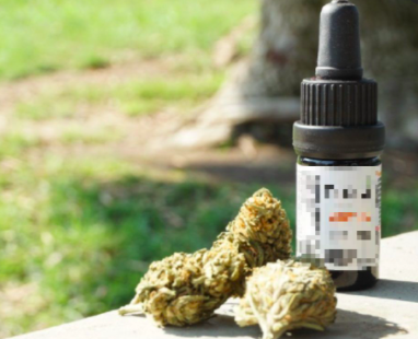PRESIDENTE COSTA RICA VETA LEGALIZACIÓN DE MARIGUANA MEDICINAL