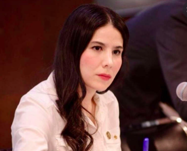 PV EXPULSA A DIPUTADA ROCÍO GAMIÑO POR VOTAR CONTRA REFORMA ELÉCTRICA￼