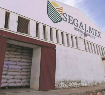 COTA MONTAÑO ASUME DIRECCIÓN DE SEGALMEX DONDE INVESTIGAN GRAVE CORRUPCIÓN