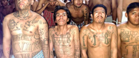 DETIENEN A 15 MIL DE LA ´MARA SALVATRUCHA´; YA SUMAN 70 MIL EN UN MES