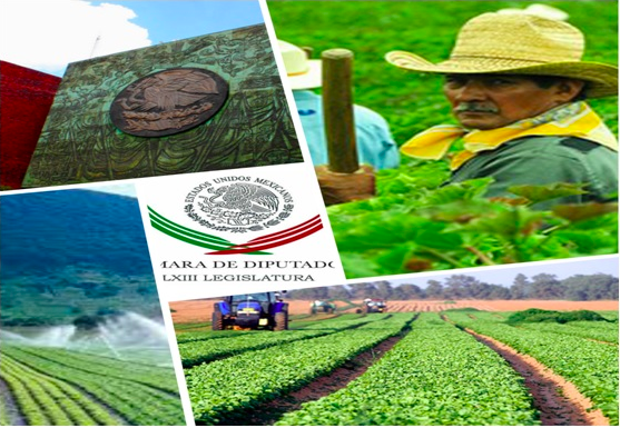 CREARÁN COMISIÓN DE DIPUTADOS PARA EL DESARROLLO AGRARIO