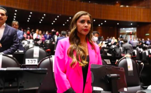 ANUNCIAN PARLAMENTO ABIERTO PARA ANALIZAR LA CREACIÓN DEL CÓDIGO NACIONAL DE PROCEDIMIENTOS CIVILES Y FAMILIARES￼