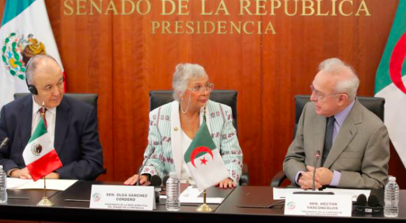 ALTO GRADO DE ENTENDIMIENTO POLÍTICO ENTRE MÉXICO Y ARGELIA: SÁNCHEZ CORDERO  ￼