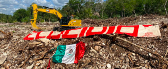 Tribunal confirma suspensión  provisional de obras en tramo 5 del Tren Maya