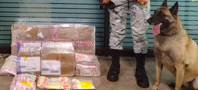 EN EL ESTADO DE MÉXICO, GUARDIA NACIONAL DECOMISA APARENTE CRYSTAL Y METANFETAMINA OCULTOS EN BOCINAS