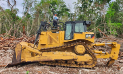 UN JUEZ DE DISTRITO OTORGA SUSPENSIÓN DEFINITIVA CONTRA TREN MAYA