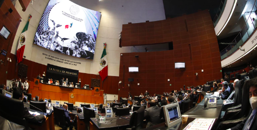 PROPONEN CAMBIOS A LA LEY NACIONAL SOBRE EL USO DE LA FUERZA￼