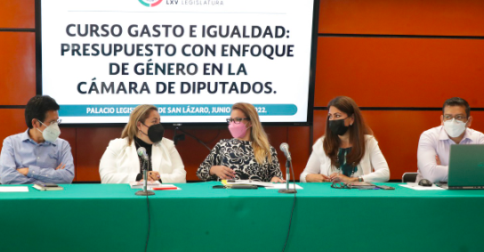 REALIZAN CURSO “GASTO E IGUALDAD: PRESUPUESTOS CON ENFOQUE DE GÉNERO EN LA CÁMARA DE DIPUTADOS”
