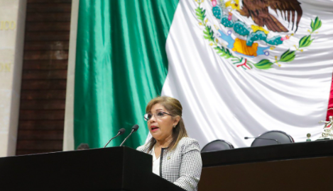 PROPONEN QUE USO DE LA FUERZA PÚBLICA SE RIJA POR PRINCIPIOS DE RACIONALIDAD Y OPORTUNIDAD