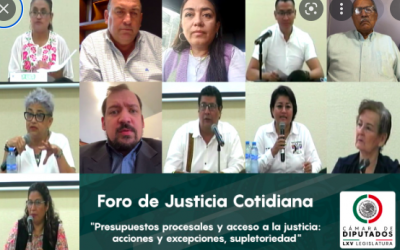 PRESUPUESTOS PROCESALES Y ACCESO A LA JUSTICIA, TEMA DEL FORO DEL GRUPO DE TRABAJO DE JUSTICIA COTIDIANA
