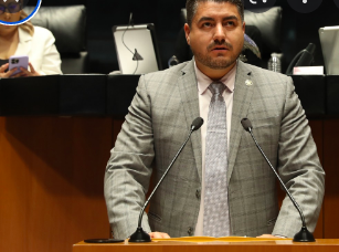 IMPLEMENTARÁN MEDIDAS DE VIGILANCIA Y PREVENCIÓN EN USO DE VIDEOJUEGOS PARA PROTEGER A MENORES DEL CRIMEN ORGANIZADO: PVEM￼