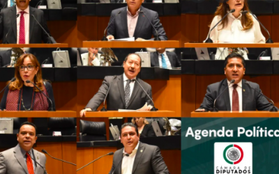 EL IMPACTO NEGATIVO DE LAS ARMAS ILEGALES EN LA SEGURIDAD PÚBLICA, TEMA ABORDADO EN LA COMISIÓN PERMANENTE￼