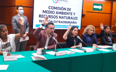 COMISIÓN DE MEDIO AMBIENTE Y RECURSOS NATURALES AVALÓ OPINIÓN RESPECTO AL PEF 2023