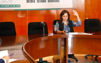 La Comisión de Derechos de los Niños, Niñas y Adolescentes emitió su opinión sobre el Proyecto de Presupuesto de Egresos Federal (PEF) 2023