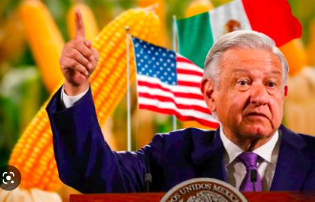 BUSCA AMLO LLEGAR A UN ACUERDO CON EU SOBRE MAÍZ TRANSGÉNICO