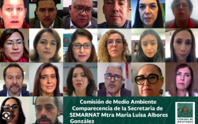 EXIGEN DIPUTADOS QUE SEMARNAT GARANTICE PROTECCIÓN DE LOS ECOSISTEMAS￼