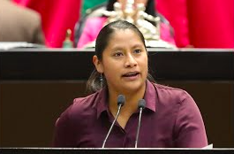 CÁMARA DE DIPUTADOS REFORMA LA LEY ORGÁNICA DEL PJF PARA INCORPORAR IGUALDAD Y NO DISCRIMINACIÓN