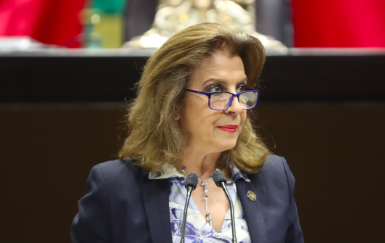 EL PRESIDENTE DE LA REPÚBLICA BUSCA CONTROLAR AL TRIBUNAL FEDERAL DE JUSTICIA ADMINISTRATIVA: PAN