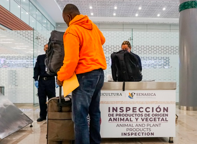 Emite Agricultura recomendaciones a vacacionistas sobre movilización e ingreso de alimentos
