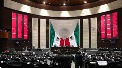 LA CÁMARA DE DIPUTADOS APROBÓ REFORMAS A LA LEY NACIONAL SOBRE EL USO DE LA FUERZA