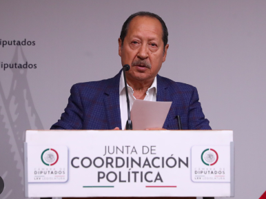 RESOLUCIÓN DEL TEPJF SOBRE PROCESO DE SELECCIÓN DE NUEVOS CONSEJEROS DEL INE REFLEJA FALTA DE SERIEDAD: MORENA