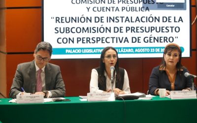 SUBCOMISIÓN DE PRESUPUESTO ABORDA PERSPECTIVA DE GÉNERO