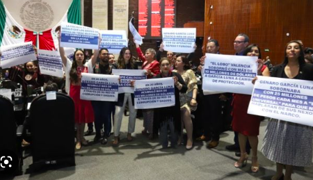 EL CASO GARCÍA LUNA CONFRONTA A DIPUTADOS; MORENA Y ALIADOS PIDEN INVESTIGAR A FOX Y CALDERÒN