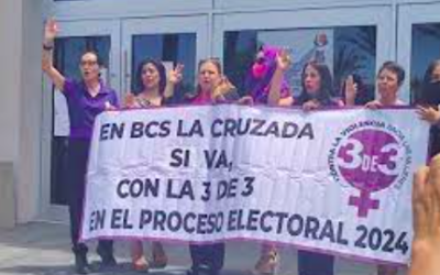 HABRÀ SEGUIMIENTO A LA “LEY 3 DE 3” CONTRA LA VIOLENCIA A LAS MUJERES EN EL PROCESO ELECTORAL 2024: MORENA