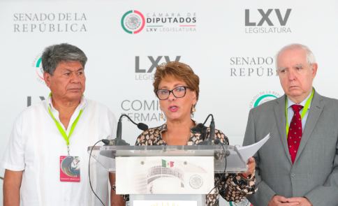 RESPALDAN DIPUTADOS ACCIÓN DE INCONSTITUCIONALIDAD PROMOVIDA POR GRUPOS INDÍGENAS CONTRA REFORMAS A LA LEY MINERA