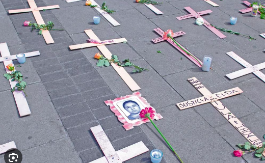 PROPONEN DIPUTADOS DEL PAN QUE TODA MUERTE DE UNA MUJER CON INDICIOS DE VIOLENCIA SEA INVESTIGADA DESDE UN INICIO COMO FEMINICIDIO