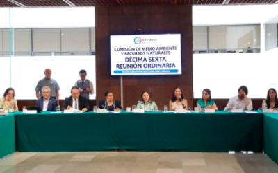 COMISIÓN DE MEDIO AMBIENTE DIALOGA CON REPRESENTANTES DE LA SRE, SEMARNAT Y ORGANIZACIONES SOCIALES